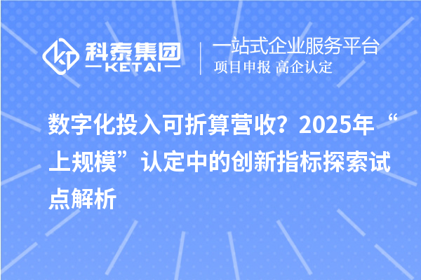 數(shù)字化投入可折算營收？2025年“上規(guī)模”認(rèn)定中的創(chuàng)新指標(biāo)探索試點(diǎn)解析