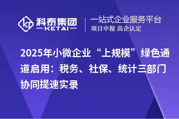 2025年小微企業(yè)“上規(guī)模”綠色通道啟用：稅務(wù)、社保、統(tǒng)計(jì)三部門協(xié)同提速實(shí)錄