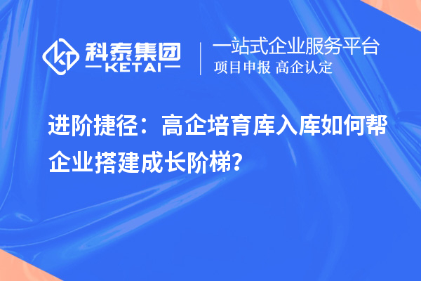 進(jìn)階捷徑：高企培育庫入庫如何幫企業(yè)搭建成長階梯？